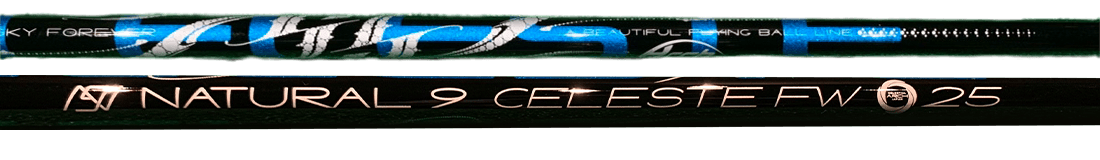 CELESTE FW